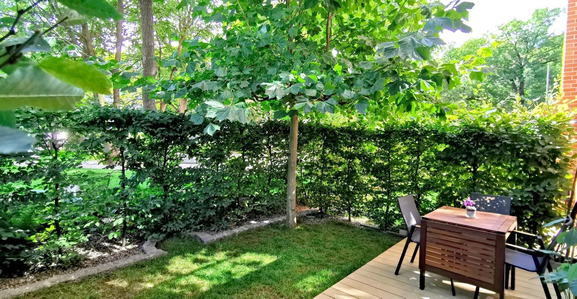 City Garden Apartment Breslau